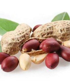 8 lợi ích bất ngờ của hạt lạc đối với sức khỏe