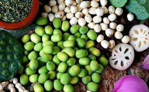 Hạt sen sấy - món ăn vặt quen thuộc tốt cho sức khỏe 12 Hạt sen sấy - món ăn vặt quen thuộc tốt cho sức khỏe