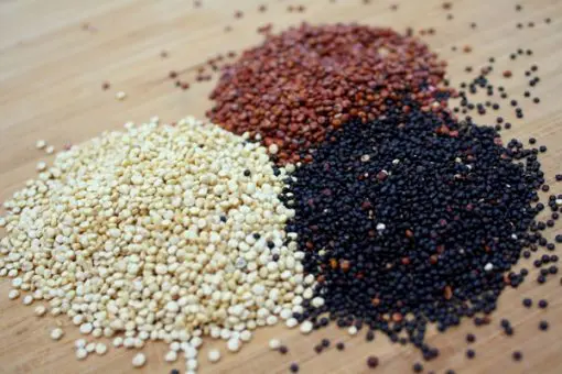 Hạt quinoa là gì? 7 công dụng chính của hạt quinoa