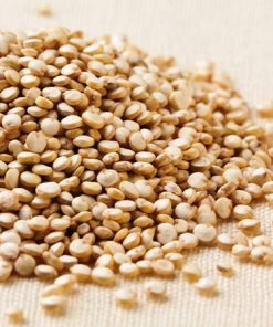 Hạt quinoa là gì? 7 công dụng chính của hạt quinoa 10 Saponin trong hạt quinoa sẽ kháng khuẩn, thúc đẩy để các vết thương ngoài da mau lành