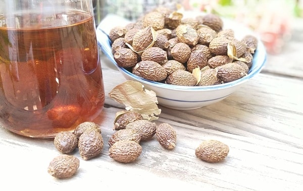 Bạn có thể hãm hạt đười ươi, mật ong với nước sôi để dùng như trà