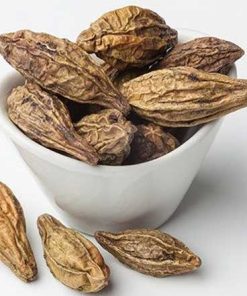 Kha tử có tác dụng gì? Cách dùng hạt kha tử hiệu quả