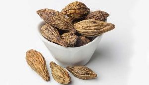 Kha tử có tác dụng gì? Cách dùng hạt kha tử hiệu quả