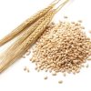 8 lợi ích cho sức khỏe từ hạt lúa mạch